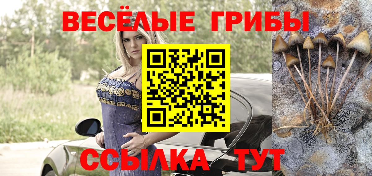 Псилоцибиновые грибы ЛСД Алапаевск